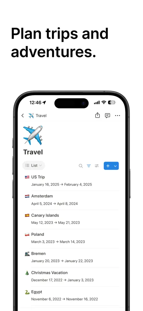Notion app notes and wiki pages for goal planning