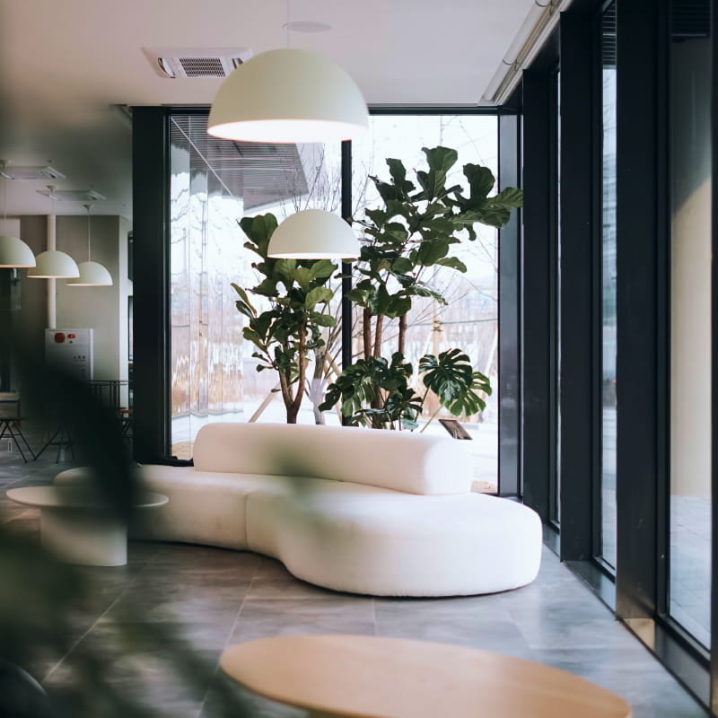 A sunlit lounge with a white sofa
