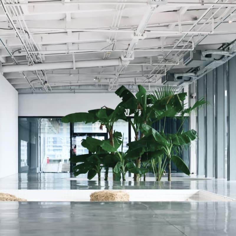 A bright industrial workspace with plants