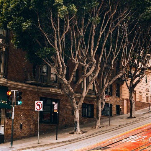A tree-lined street outside the studio