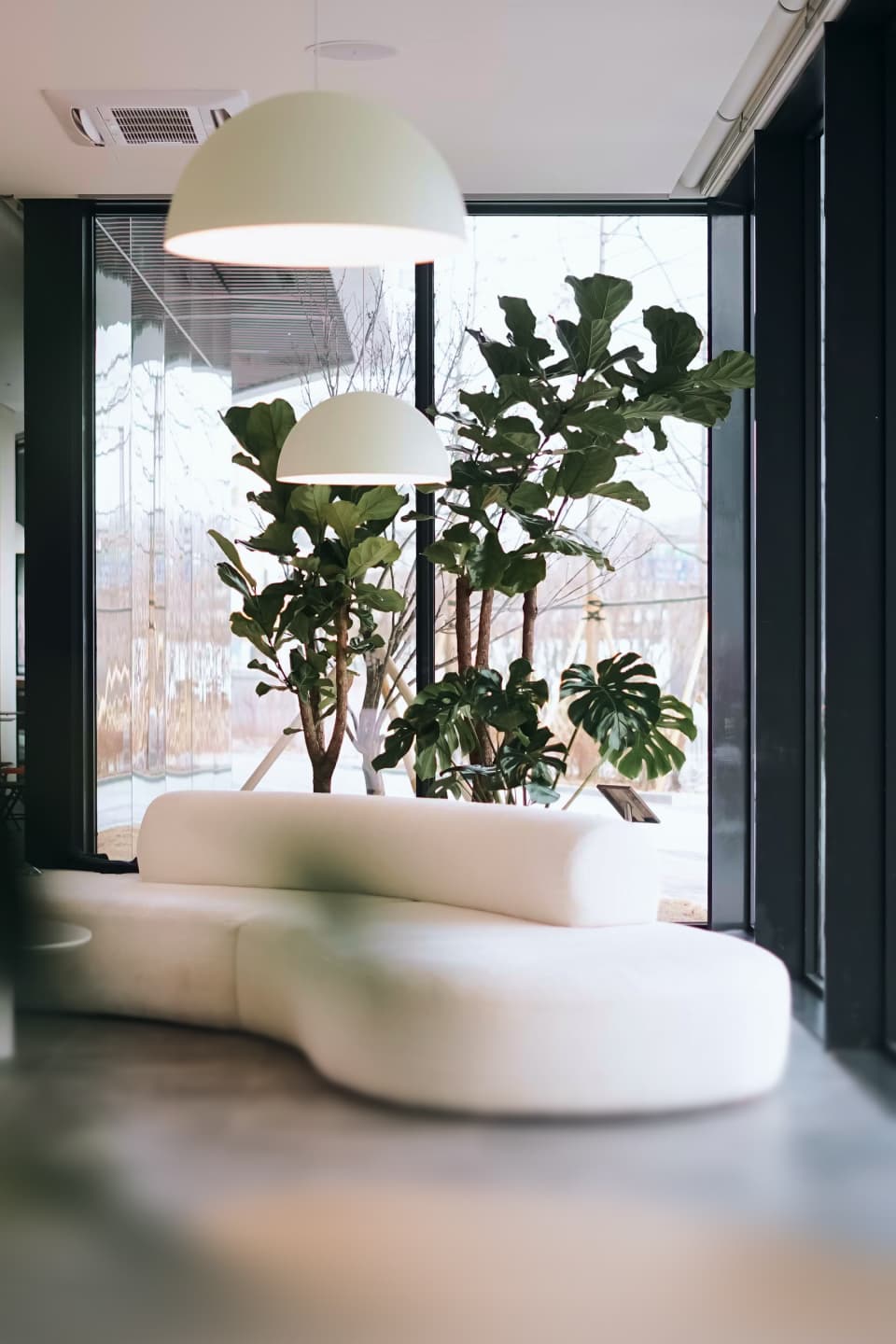 Modern office interior with plants and natural light